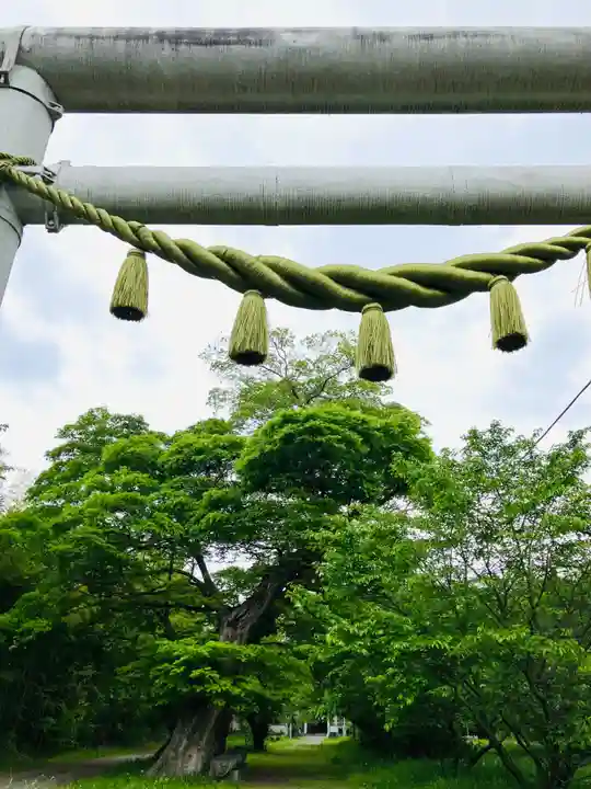 金村別雷神社(茨城県)