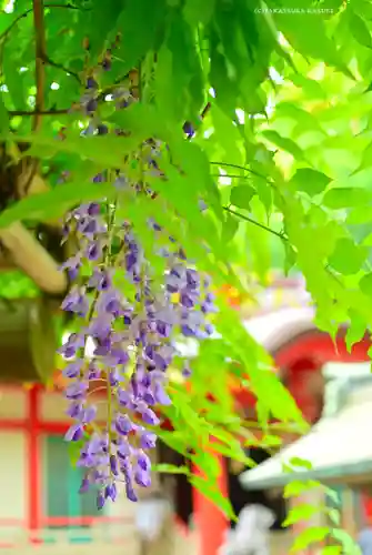 戸部杉山神社(神奈川県)