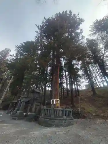 諏訪大社下社春宮(長野県)