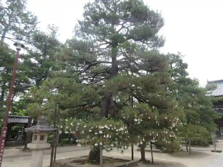 智恩寺(京都府)