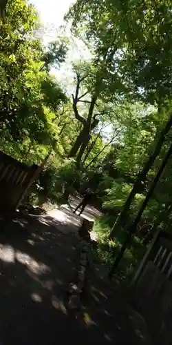 賀茂御祖神社（下鴨神社）(京都府)