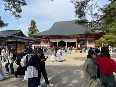 毛越寺(岩手県)