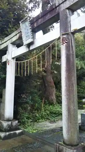 忍　諏訪神社・東照宮　の鳥居