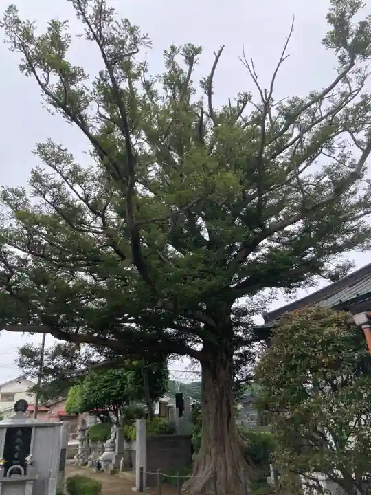 寳積院(宝積院)(神奈川県)