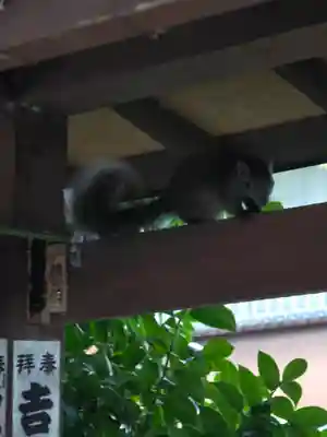 音無神社(静岡県)