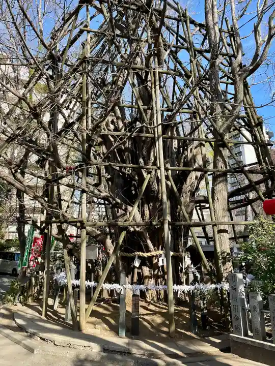 稲毛神社(神奈川県)