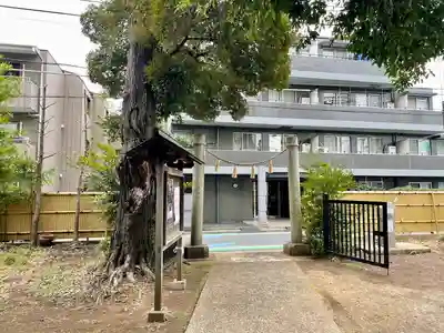 天沼八幡神社(東京都)