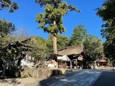 大縣神社(愛知県)