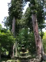 慈雲寺の自然