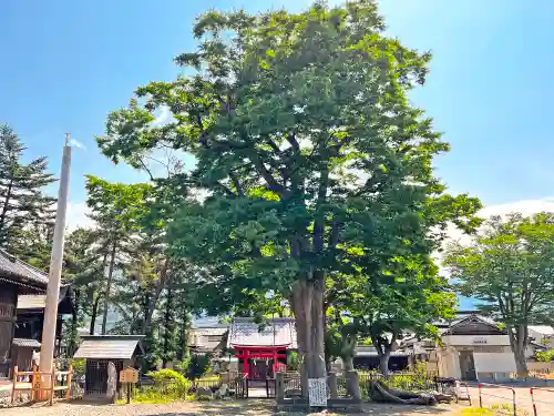 祝神社(長野県)