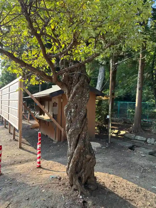 那珂湊天満宮(茨城県)