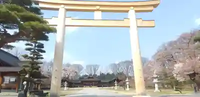 長野縣護國神社の鳥居