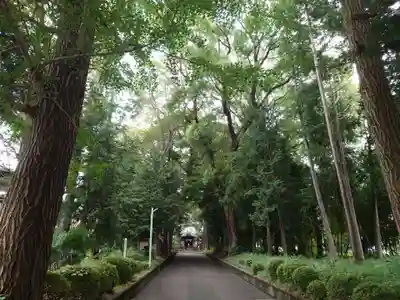 五社神社のその他建物