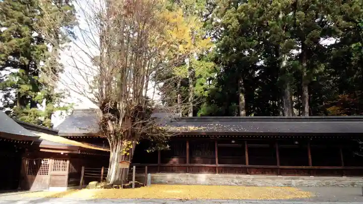飛驒一宮水無神社のその他建物