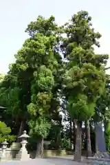 豊景神社の自然