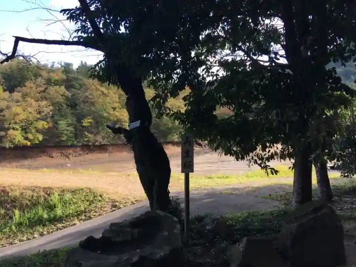 赤猪岩神社(鳥取県)
