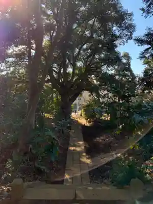 坂月神社(千葉県)