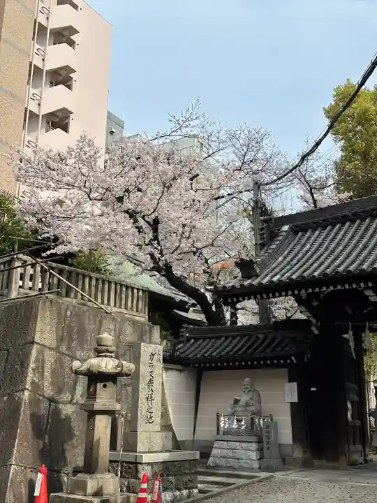 大阪天満宮の自然