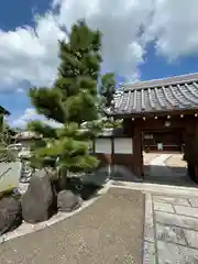 大松禅寺の山門