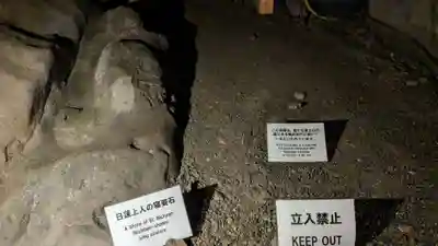 江の島岩屋の自然