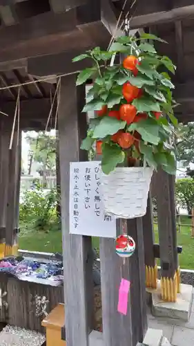 西野神社の手水