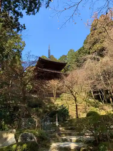 金剛輪寺のその他建物