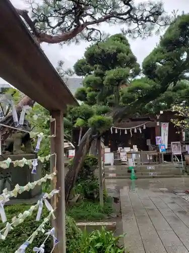 鳩森八幡神社のその他建物