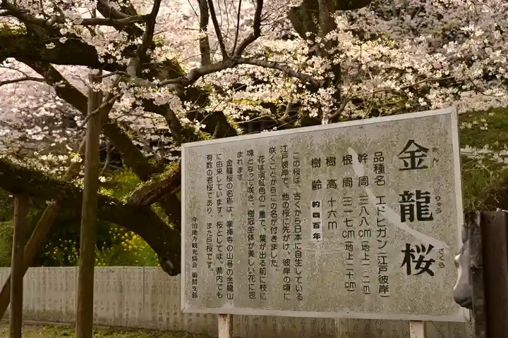 掌禅寺(愛媛県)