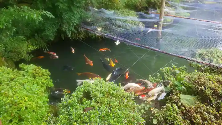 櫻山八幡宮(岐阜県)