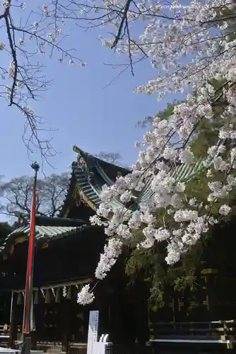 三嶋大社(静岡県)