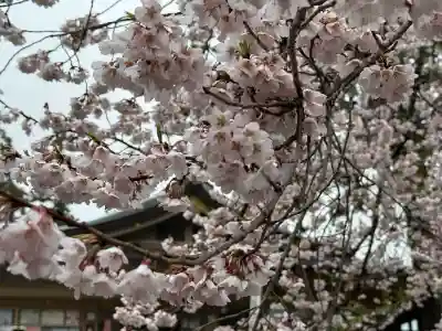 高麗神社(埼玉県)