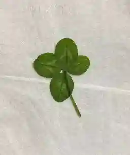 龍光大神(長崎県)