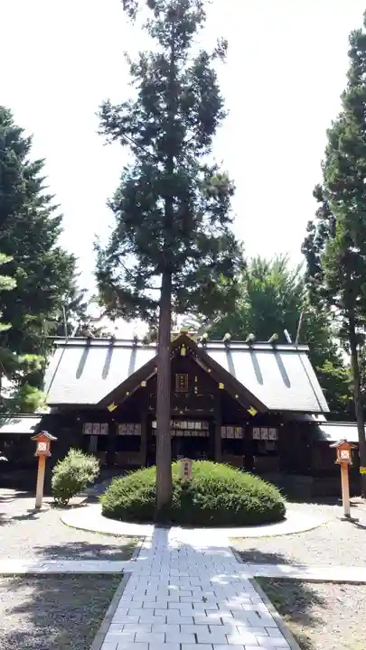 琴似神社(北海道)