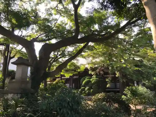 玉林寺のその他建物