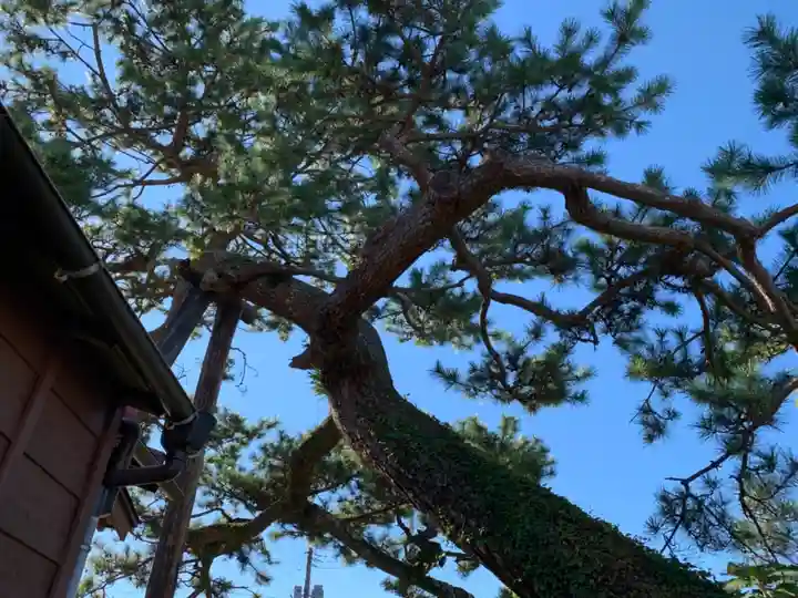 嚴島神社の自然