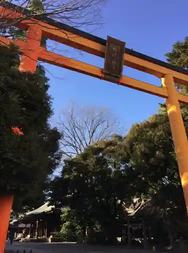 川越氷川神社の鳥居