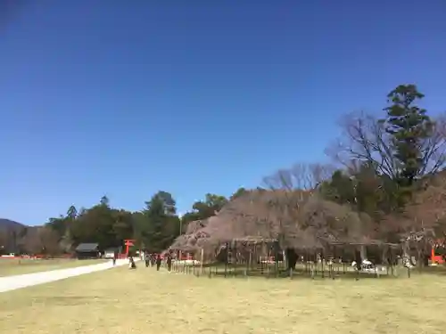 賀茂別雷神社（上賀茂神社）の自然