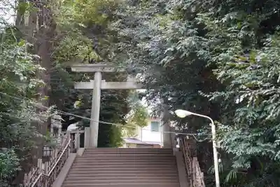 渋谷氷川神社の鳥居