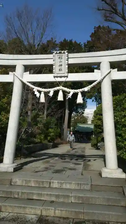 星川杉山神社の{uncategorized: "未分類", other: "その他", undefined: "問題あり", building: "その他建物", grave: "お墓", sacred_gate: "鳥居", guardian: "狛犬", statue: "像", buddha: "仏像", history: "歴史", nature: "自然", garden: "庭園", animal: "動物", pagoda: "塔", temizu: "手水舎", mountain_gate: "山門・神門", sanctuary: "本殿・本堂", subordinate: "末社・摂社", art: "芸術", scenery: "景色", jizo: "地蔵", ema: "絵馬", goshuin: "御朱印", omikuji: "おみくじ", items: "授与品その他", amulet: "お守り", goshuincho: "御朱印帳", eats: "食事", festival: "お祭り", votive_dance: "神楽", shichigosan: "七五三参", wedding: "結婚式", experience: "体験その他", initially: "初詣", around: "周辺", anti_infection: "感染症対策"}