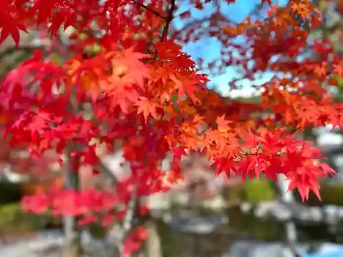 冨士山稲荷神社(長野県)