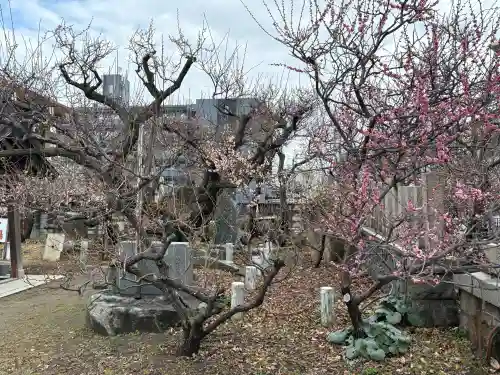 難波熊野神社の{uncategorized: "未分類", other: "その他", undefined: "問題あり", building: "その他建物", grave: "お墓", sacred_gate: "鳥居", guardian: "狛犬", statue: "像", buddha: "仏像", history: "歴史", nature: "自然", garden: "庭園", animal: "動物", pagoda: "塔", temizu: "手水舎", mountain_gate: "山門・神門", sanctuary: "本殿・本堂", subordinate: "末社・摂社", art: "芸術", scenery: "景色", jizo: "地蔵", ema: "絵馬", goshuin: "御朱印", omikuji: "おみくじ", items: "授与品その他", amulet: "お守り", goshuincho: "御朱印帳", eats: "食事", festival: "お祭り", votive_dance: "神楽", shichigosan: "七五三参", wedding: "結婚式", experience: "体験その他", initially: "初詣", around: "周辺", anti_infection: "感染症対策"}
