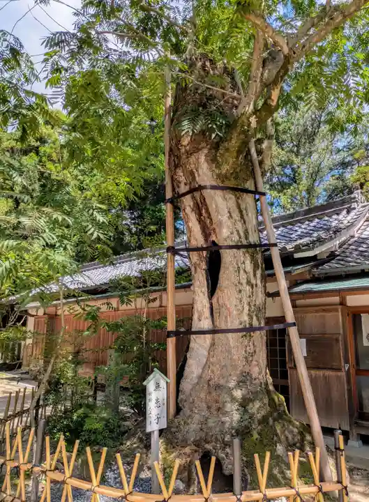葛城一言主神社(奈良県)