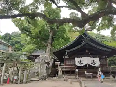 艮神社の本殿・本堂