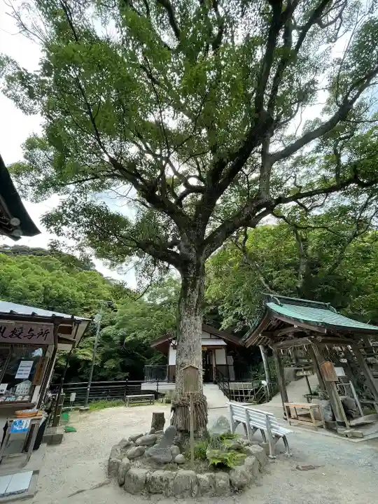志賀海神社(福岡県)