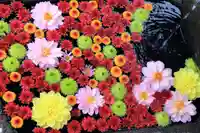 大鏑神社の手水舎