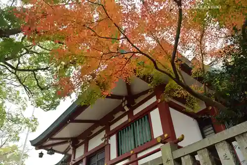 多摩川浅間神社(東京都)