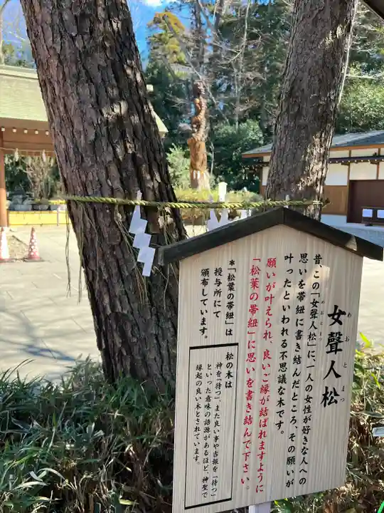 櫻木神社(千葉県)