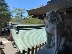 櫻山八幡宮の狛犬