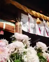 尾張大國霊神社（国府宮）の自然