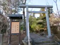 開成山大神宮の鳥居